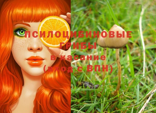 mdpv Балабаново