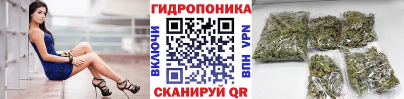 МАРИХУАНА индика Сертолово